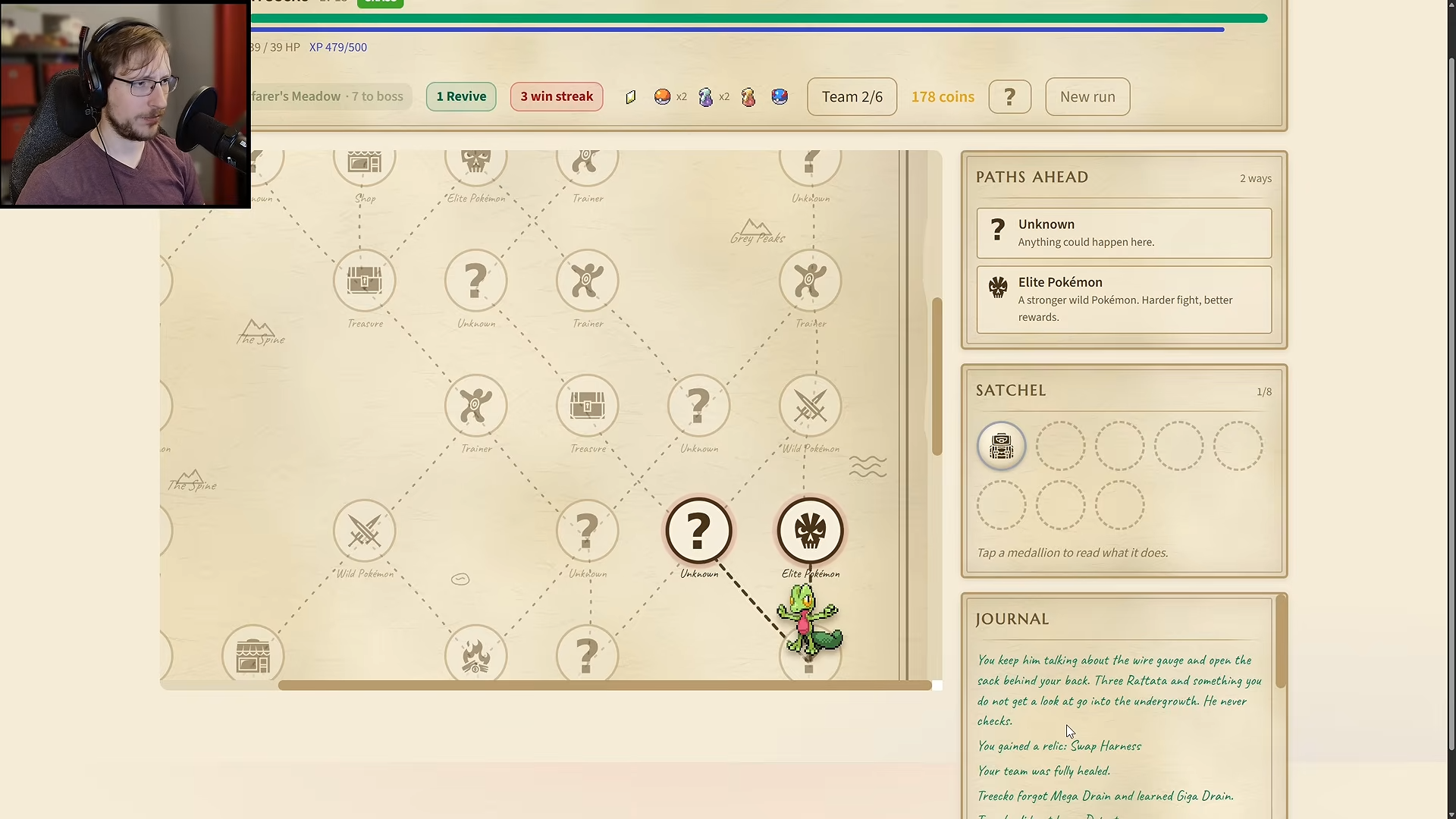 Two connected route choices from Treecko: Unknown and Elite Pokemon